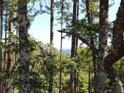 View 11