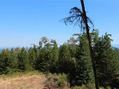 View 29