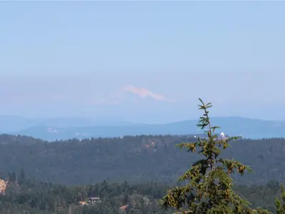 View 4