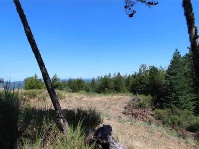 View 8