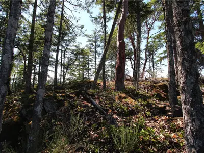 View 25
