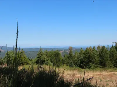 View 21
