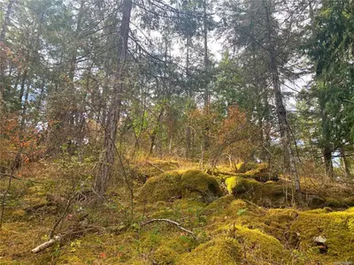 View 23