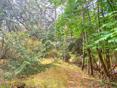 View 17