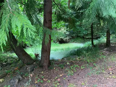 View 28