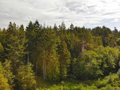 View 24