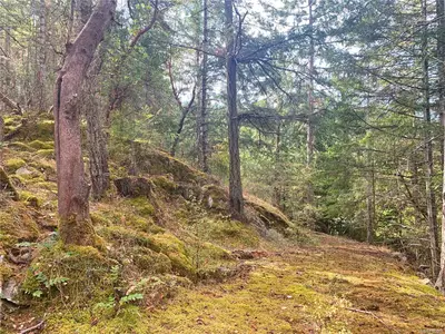 View 31