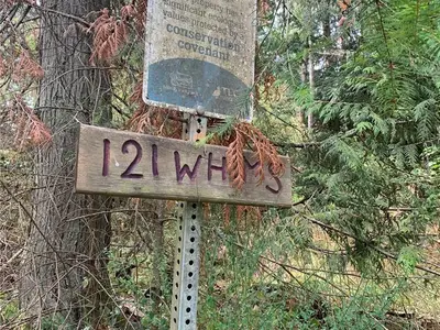 View 21