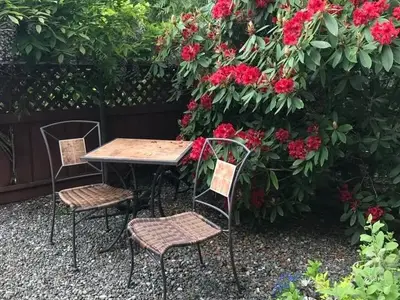 View 15