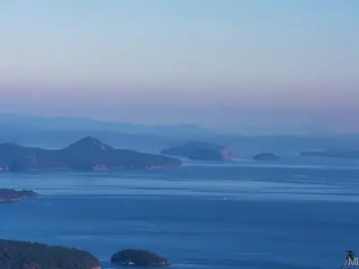 View 14