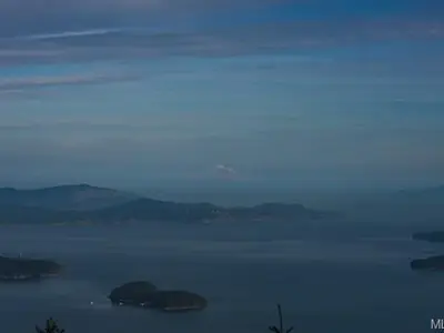View 11