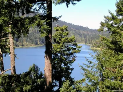 View 7