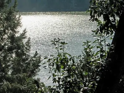 View 15