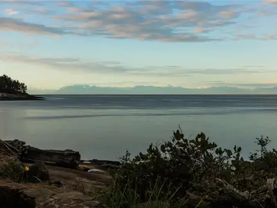 View 5