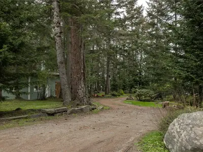 View 37