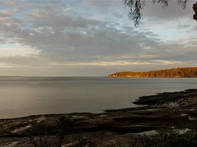 View 40