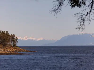 View 39