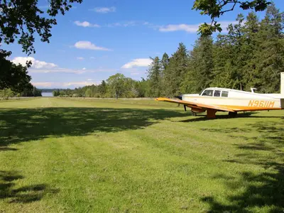 View 81