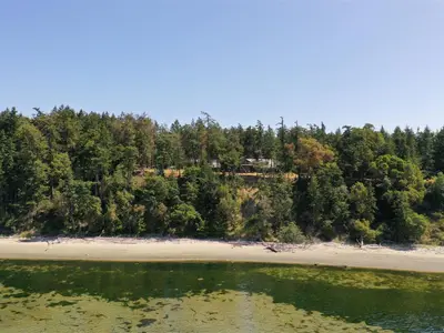 View 61