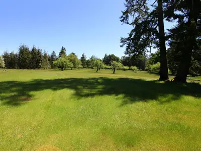 View 83