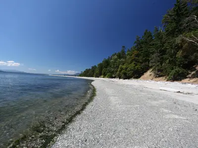 View 87