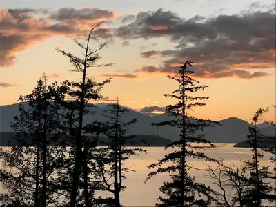 View 45