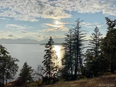 View 8