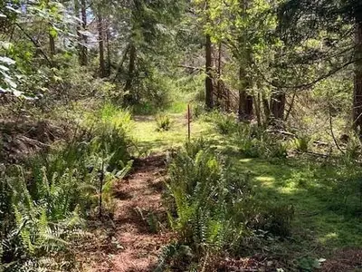 View 17