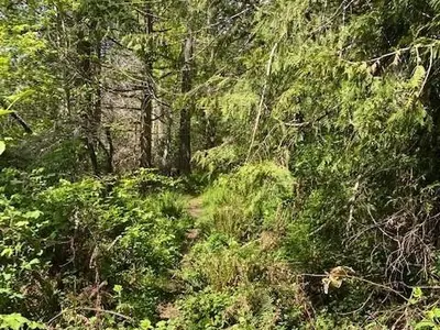 View 22