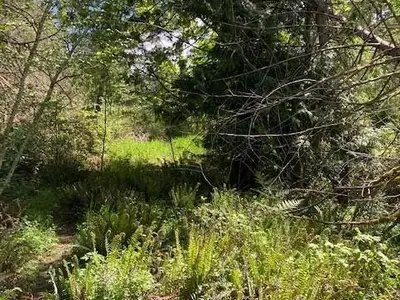 View 24