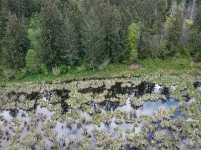 View 14