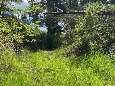 View 21