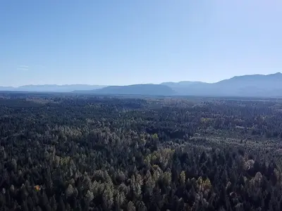 View 10