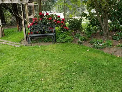 View 62