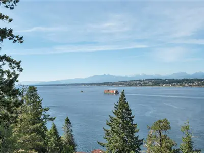 View 50