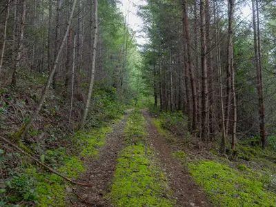View 23