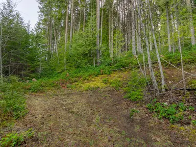 View 26