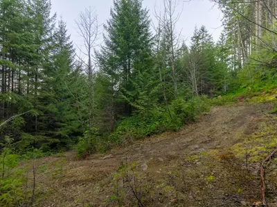 View 24