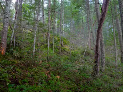 View 31