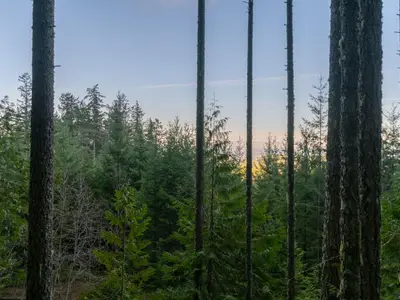 View 29