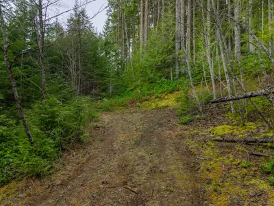 View 25
