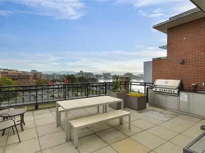 View 19