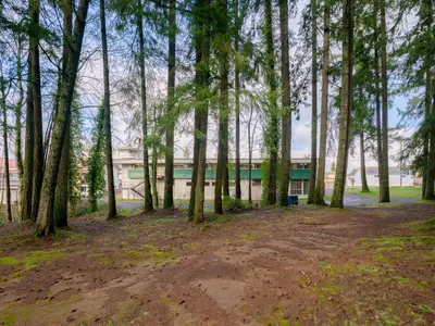 View 55