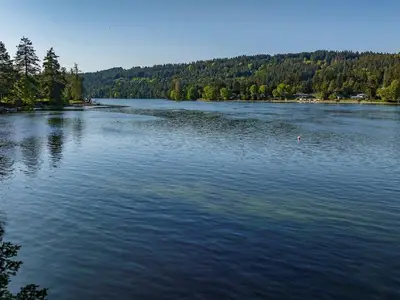 View 37