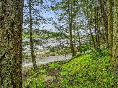 View 19