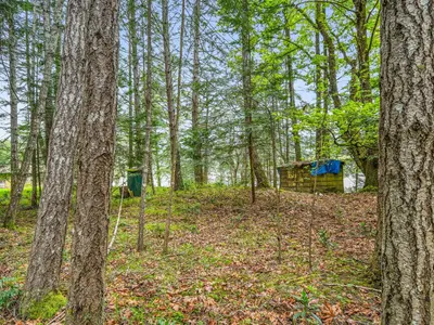 View 29