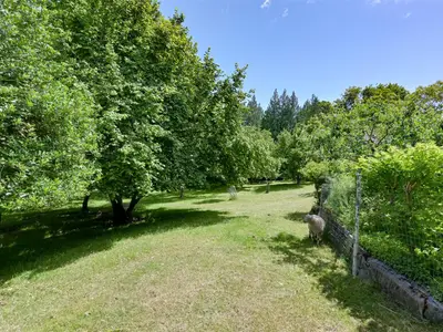 View 56