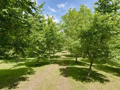 View 36