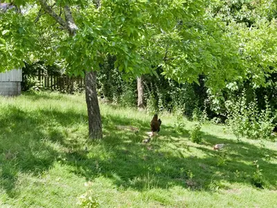 View 32