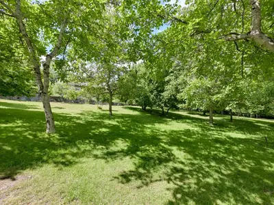 View 28